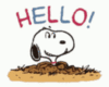 Hello Snoopy