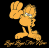 Bye bye for now Garfield
