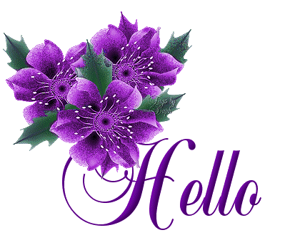 Hello Purple Flowers