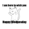 I'm here to wish you Happy Wednesday 