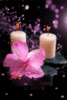 Candles and Flower