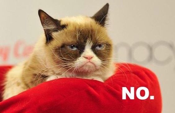 Grumpy Cat: No