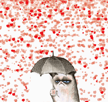 Grumpy Cat: Heart Rain