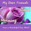 Good Morning My Dear Friend