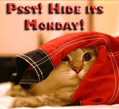 Hide it's Monday!