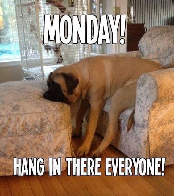 Monday! Hang in there everyone.