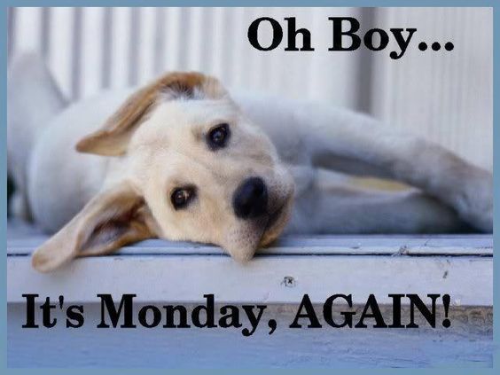 Oh Boy... It's Monday, Again!