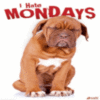 I hate Mondays
