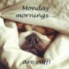 Monday Mornings...are ruff!