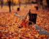 Autumn/Fall Music