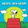 Hello, New Week!