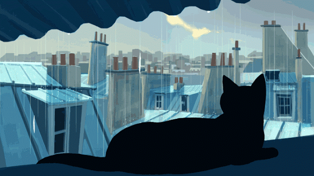 Black Cat Rainy Day