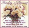 Tuesday's Blessings