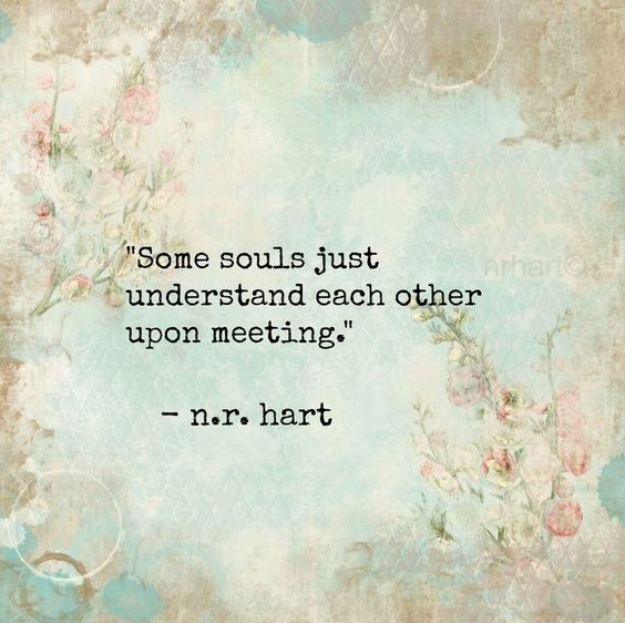 Some souls just understand each other upon meeting.-N.R.Hart