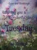 Wishing you a Wonderful Tuesday