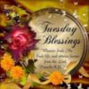 Tuesday Blessings