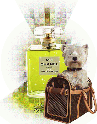 Fashion Chanel