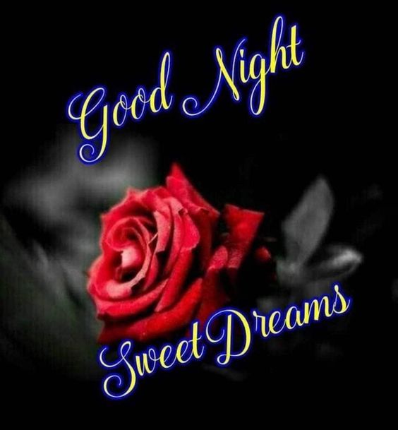 Good Night Sweet Dreams