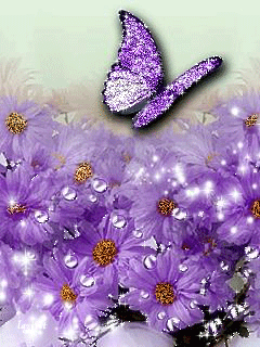 Purple Flowers and Butterfly