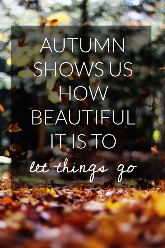 Autumn shows us how beautiful it is to let things go 