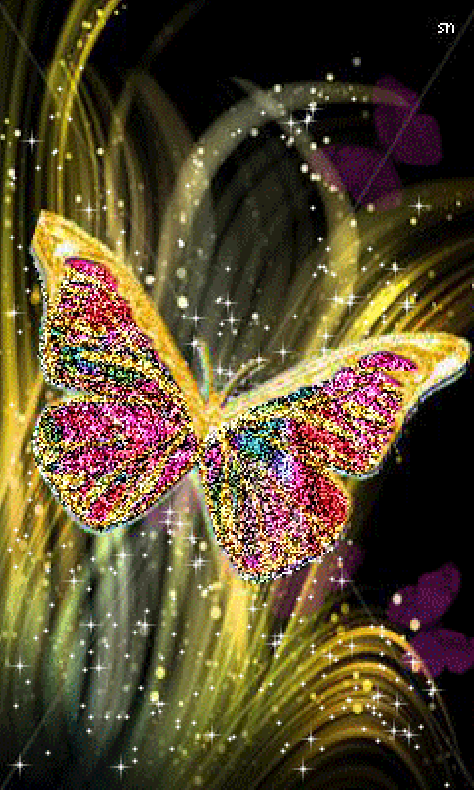 flower butterfly sparkle wallpaper