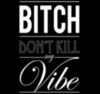 Bitch Don't Kill my Vibe