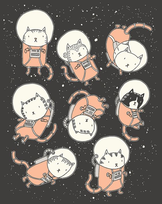 Cats in space