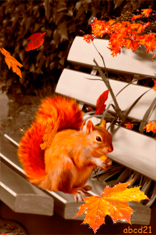 Autumn/Fall