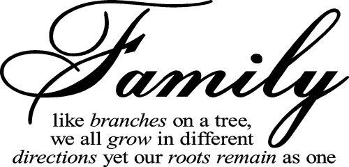 Family like branches on a tree, we all grow in different directions yet our roots remain as one 