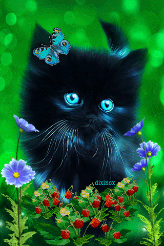 Cute Black Kitten :: Animated Pictures :: MyNiceProfile.com