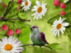 Bird Flowers and Berries