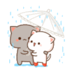 Cute Couple in the rain