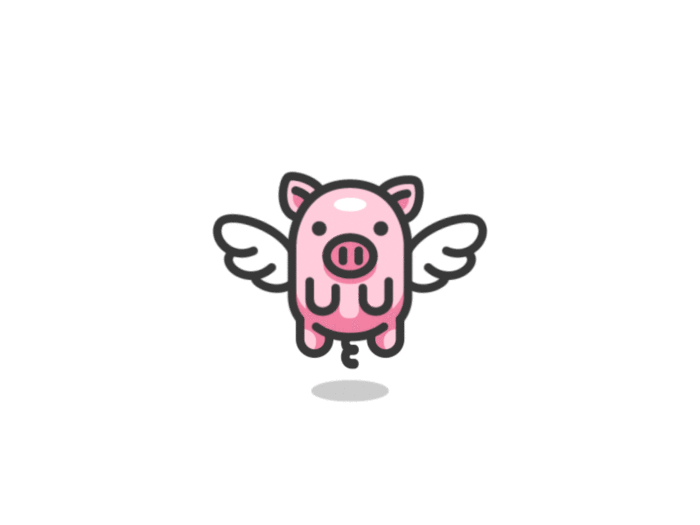 Flying Piggy