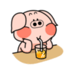 Drinking Piggy