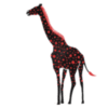 Animated art: Girafe