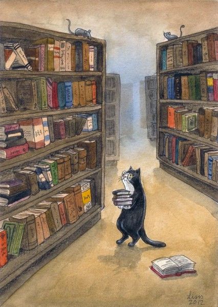 Cat in the library