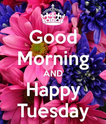 Good Morning and Happy Tuesday