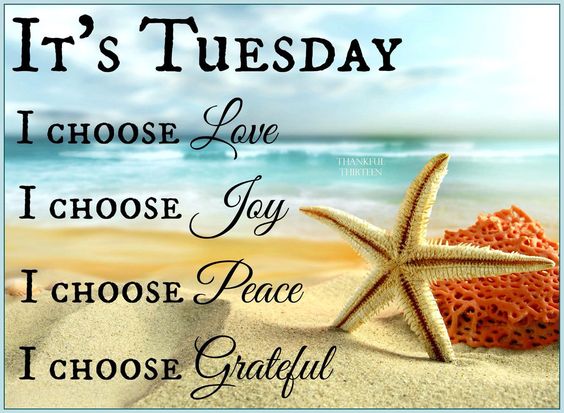 It's Tuesday I choose Love, Joy, Peace, Grateful