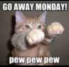 Go Away Monday Funny Cat