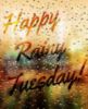 Happy Rainy Tuesday