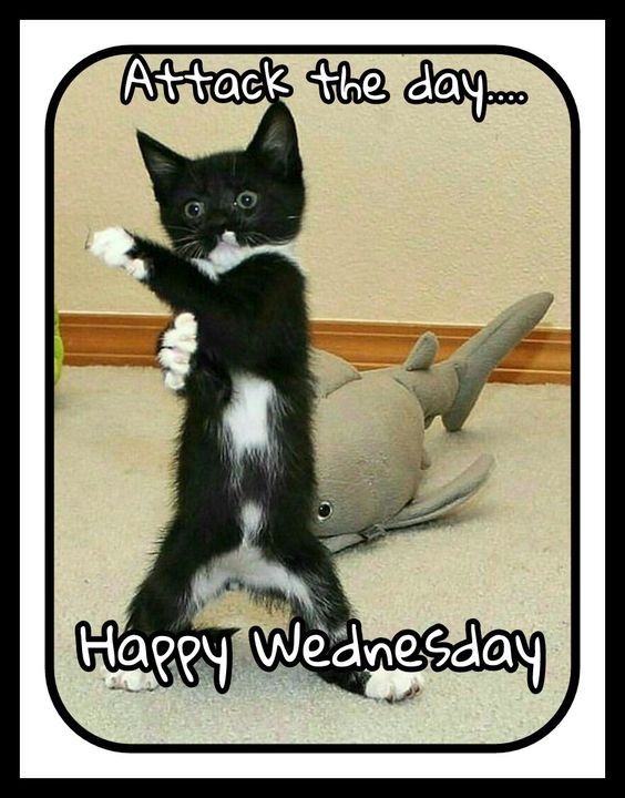 Attack the day... Happy Wednesday 