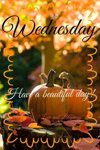 Wednesday Have a Beautiful day!