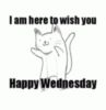 I am here to wish you Happy Wednesday 