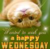 Wish you a Happy Wednesday