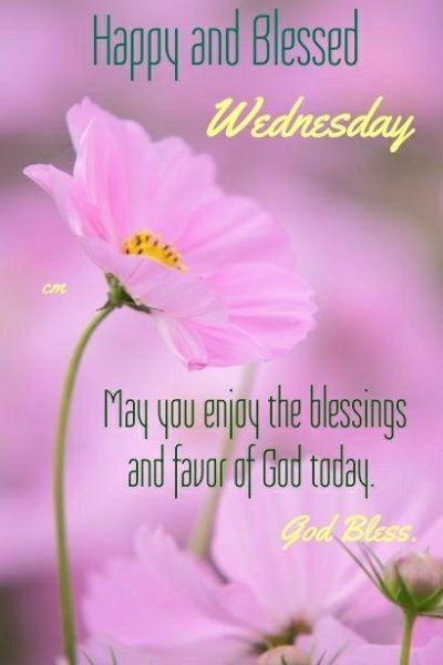 Have a Blessed Wednesday