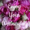 Enjoy your Wednesday