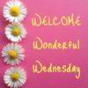 Welcome Wonderful Wednesday