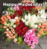 Happy Wednesday! - Flowers
