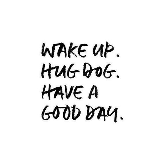 Wake Up. Hug Dog. Have a good day.