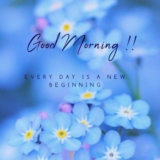 Good Morning! Every day is a new beginning